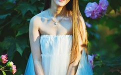 2015久章草在线视频播放